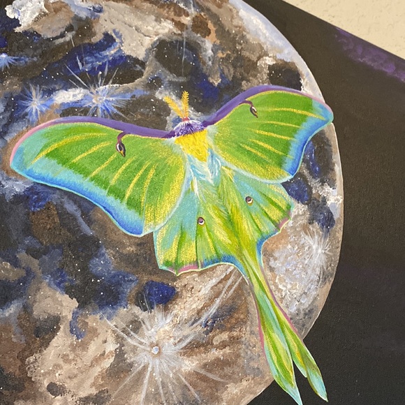 Original Artwork Luna Moth - Picture 2 of 2